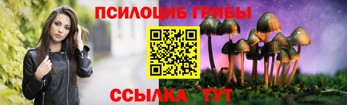 Галлюциногенные грибы мицелий Ростов Великий